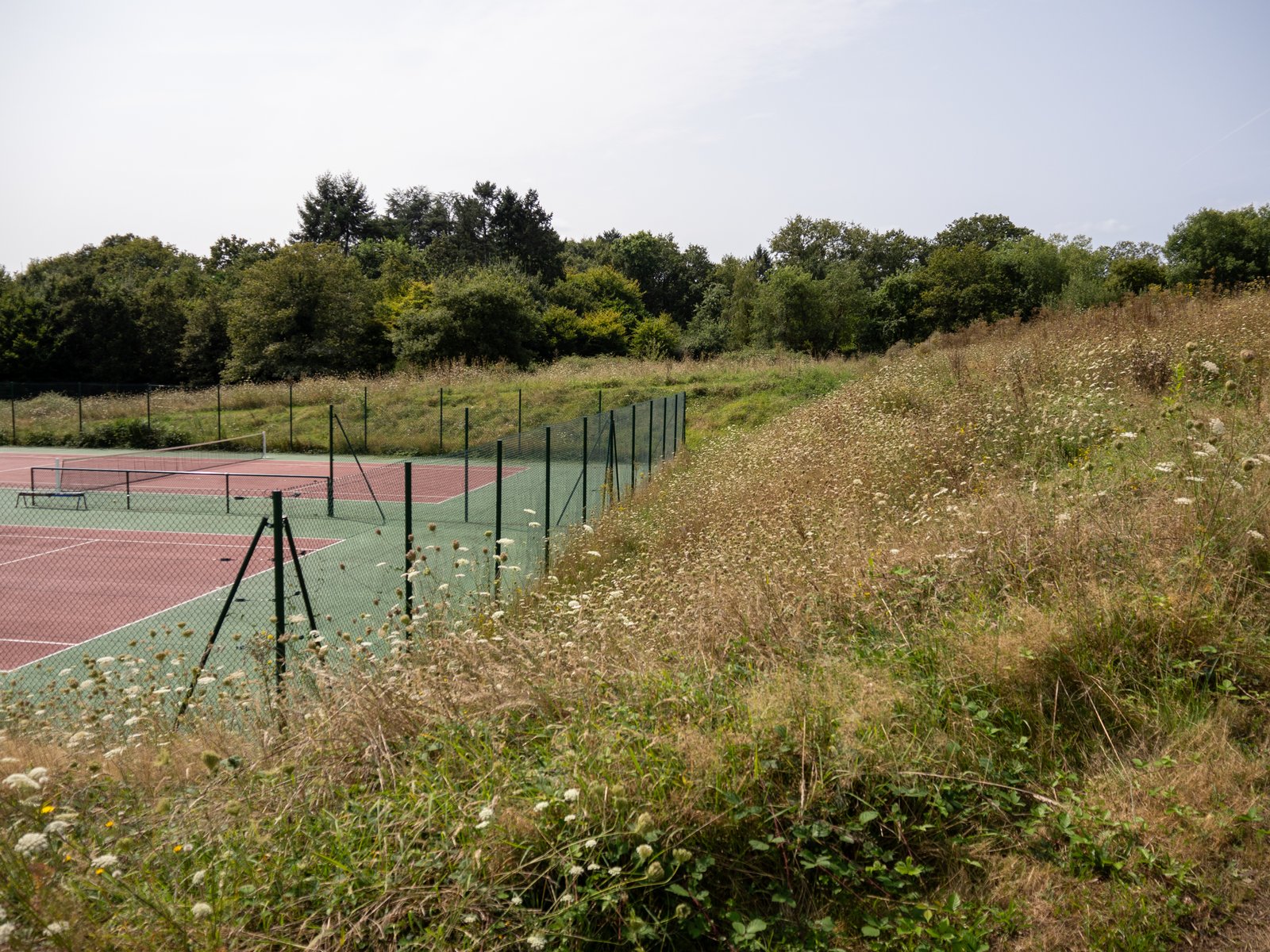Friche sèche bordant les terrains de tennis (gestion différenciée)