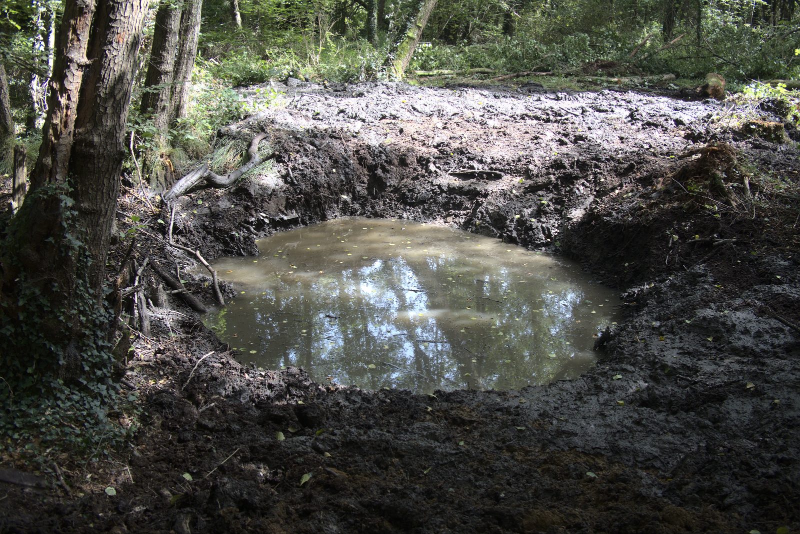 Mare forestière juste après le reprofilage de la restauration : berges mises à nu, eau turbide — Campus Nantes, 5 septembre 2023