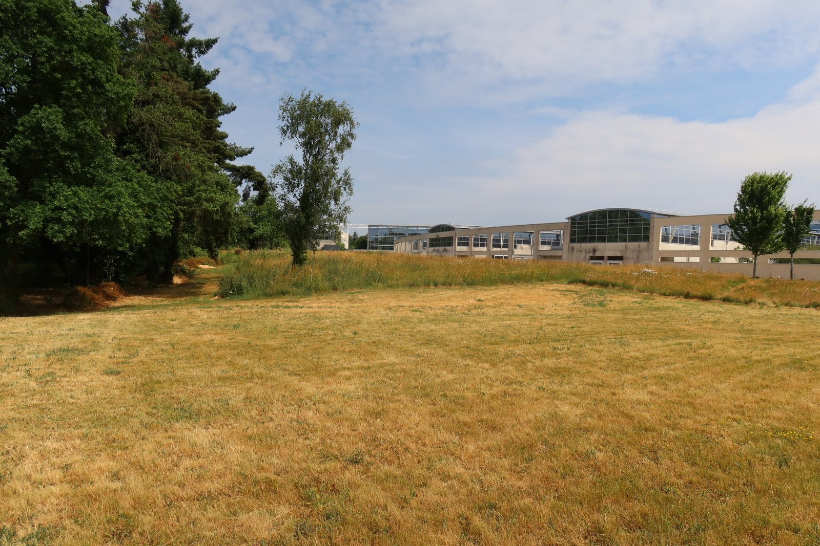 Mosaïque prairie de fauche et lisière arborée