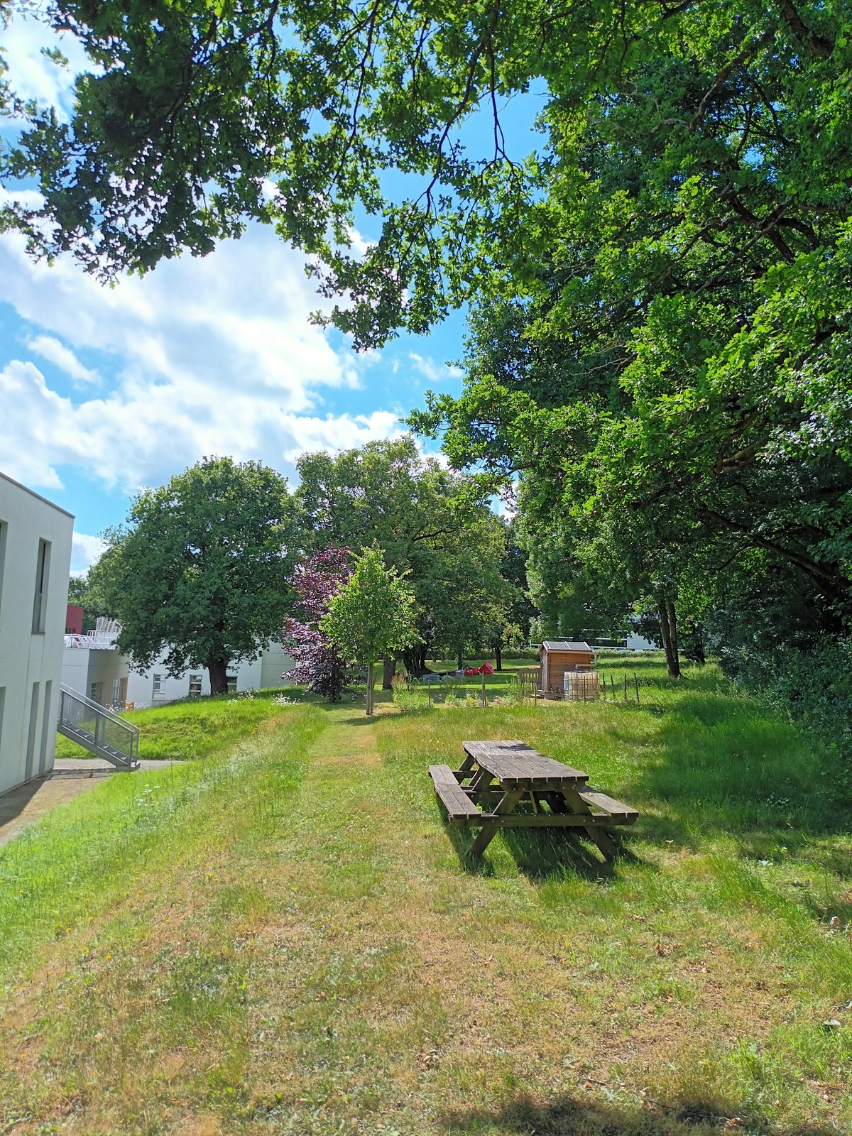 Espace ombragé et tables sous les arbres
