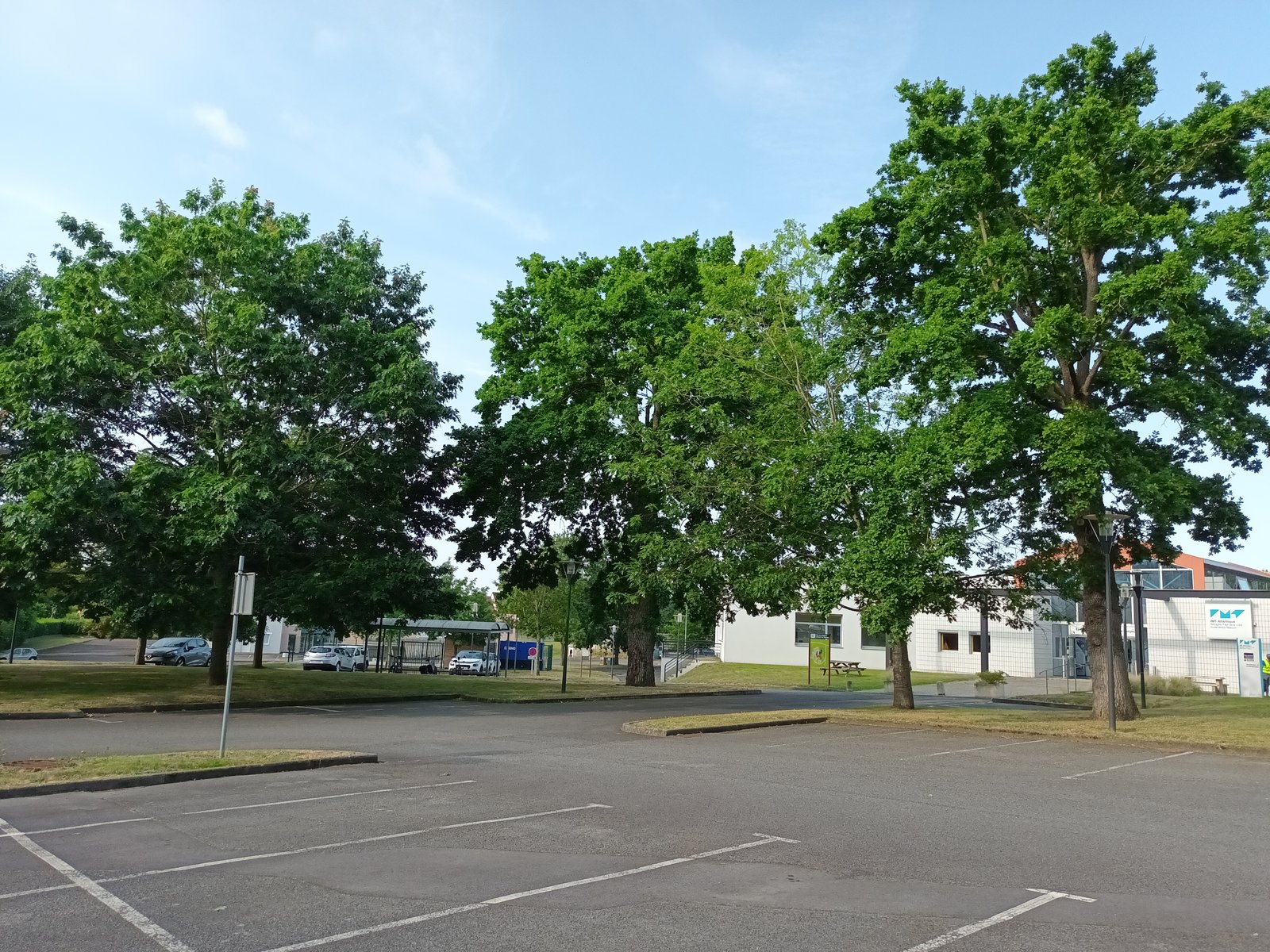 Zone Est — arbres