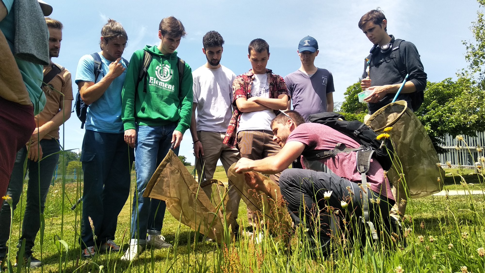 Initiation pollinisateurs GRETIA — 13 mai 2022, Campus Nantes