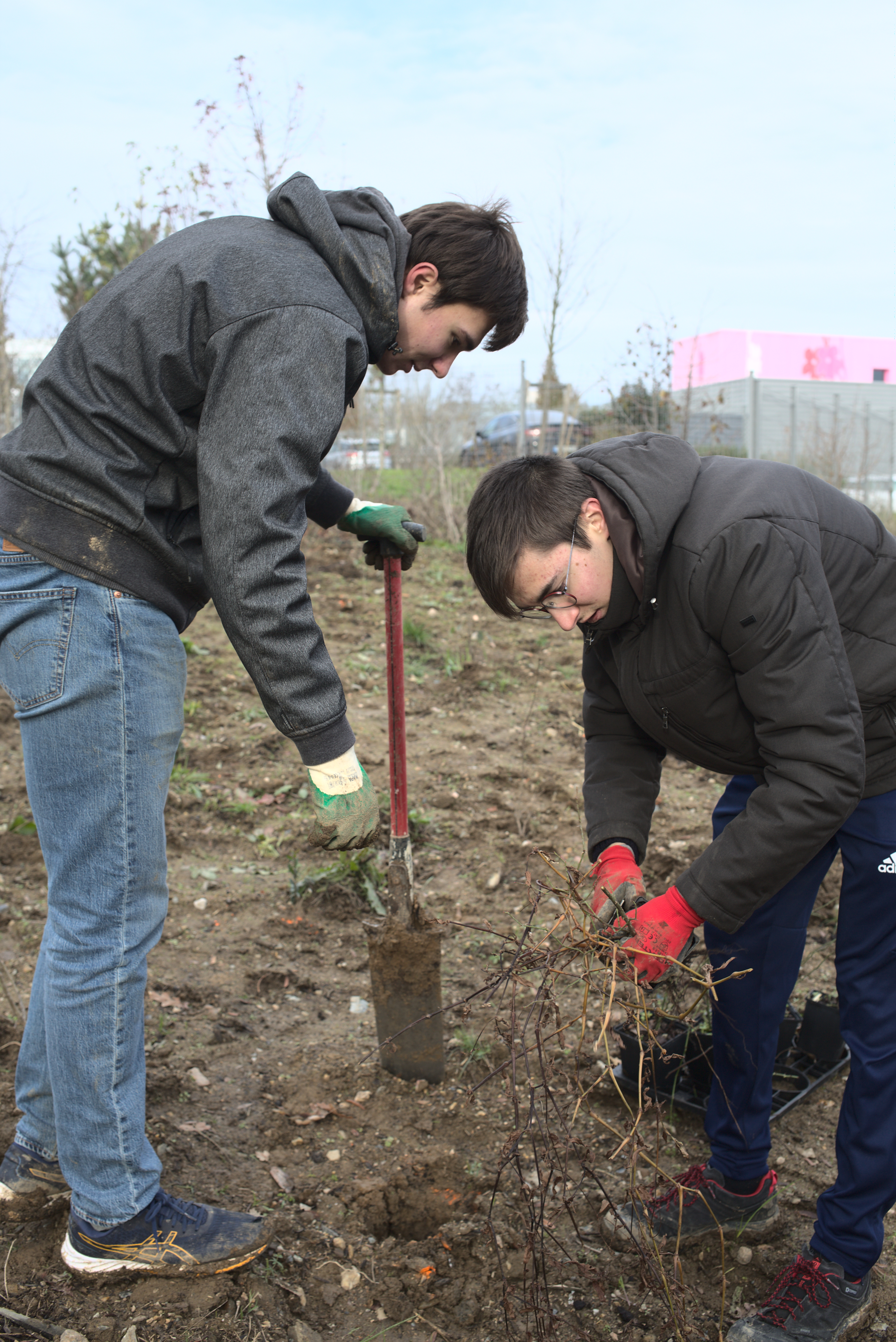 Plantation participative arbres — 15 décembre 2022, Campus Nantes
