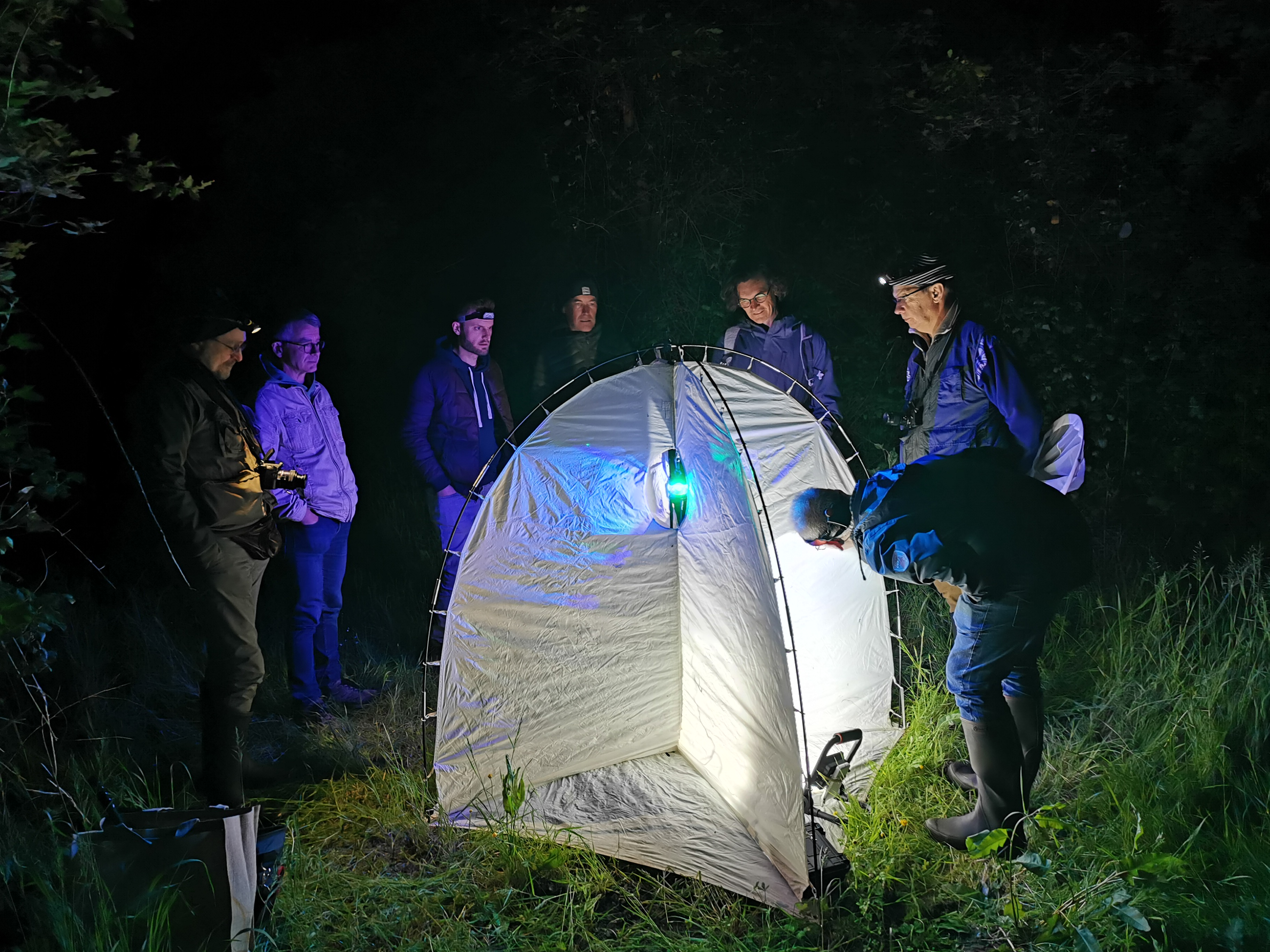 Papillons de nuit AER — 16 mai 2023, Campus Nantes