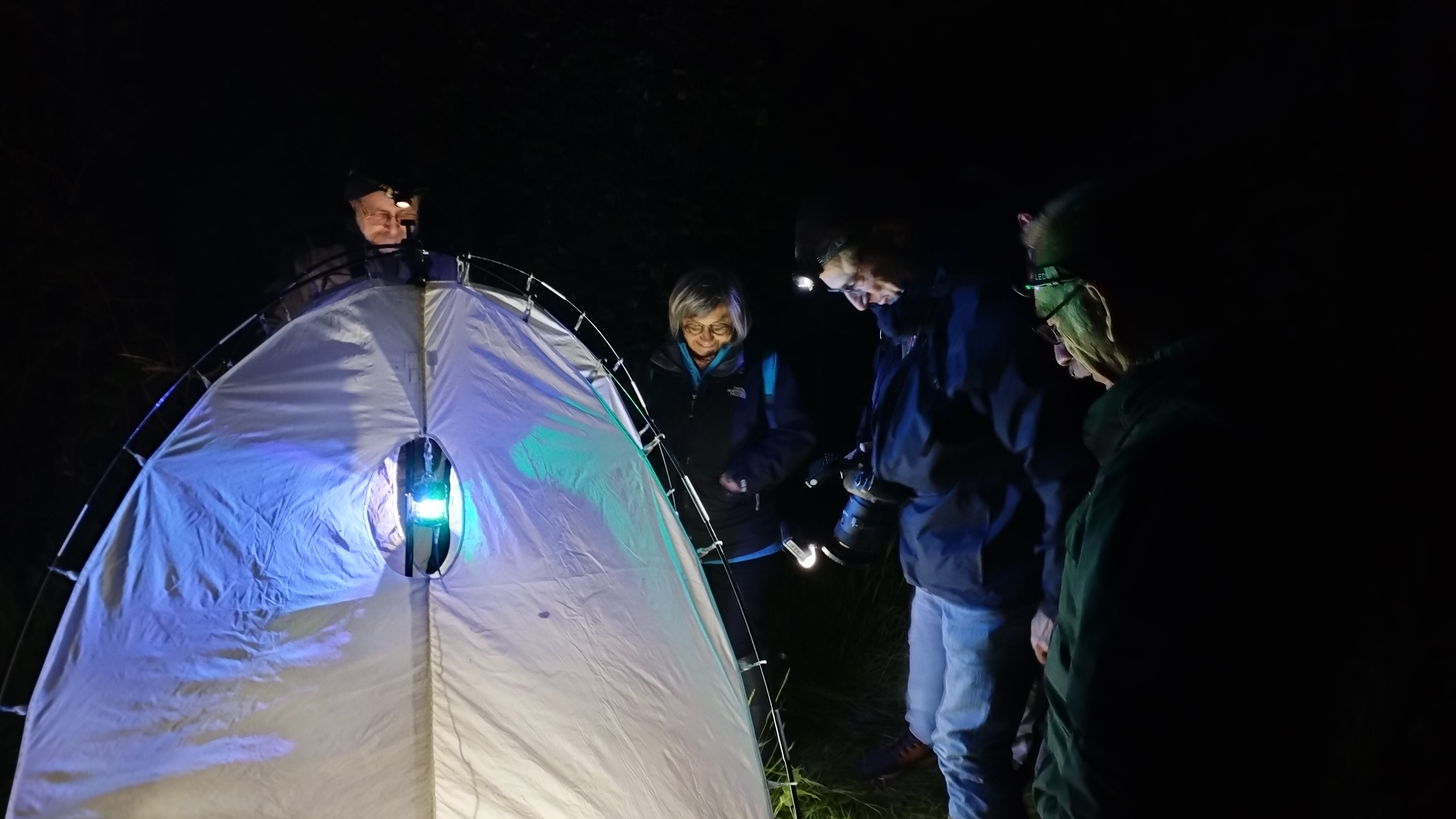 Papillons de nuit AER — 16 mai 2023, Campus Nantes