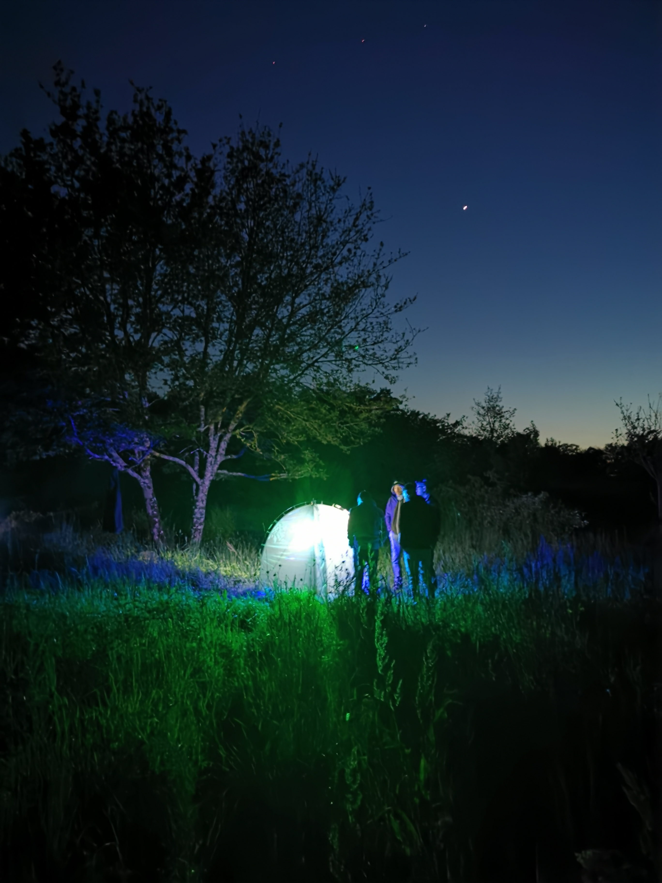 Papillons de nuit AER — 16 mai 2023, Campus Nantes
