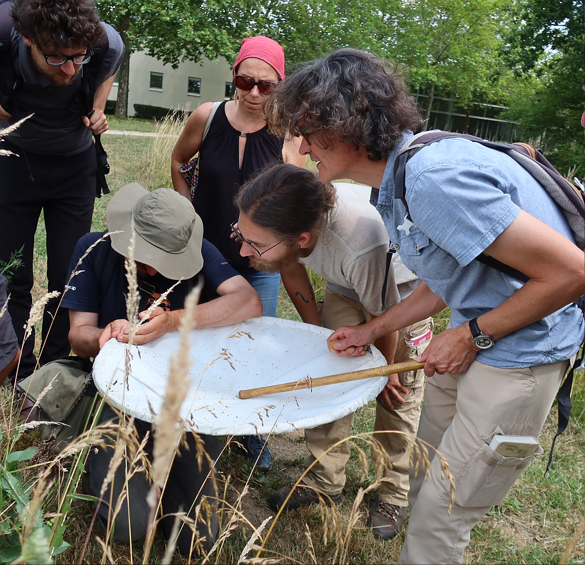 Comptage entomologique GRETIA — 22 juin 2023, Campus Nantes
