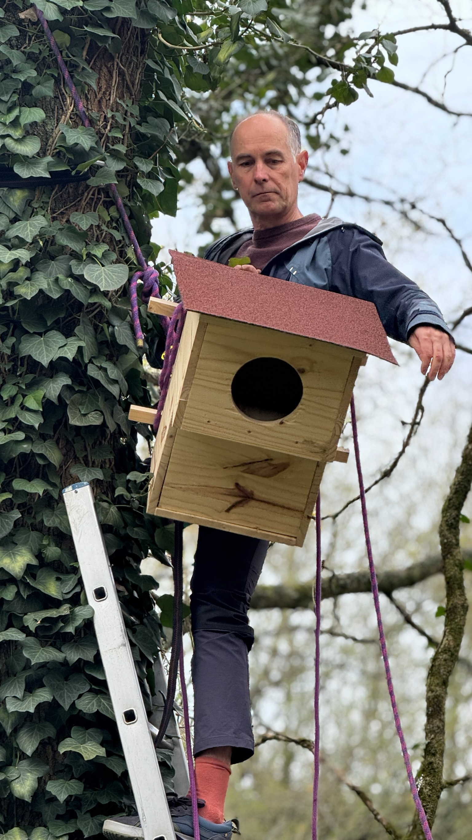Installation nichoir hulotte en hauteur — 27 mars 2025, Campus Nantes