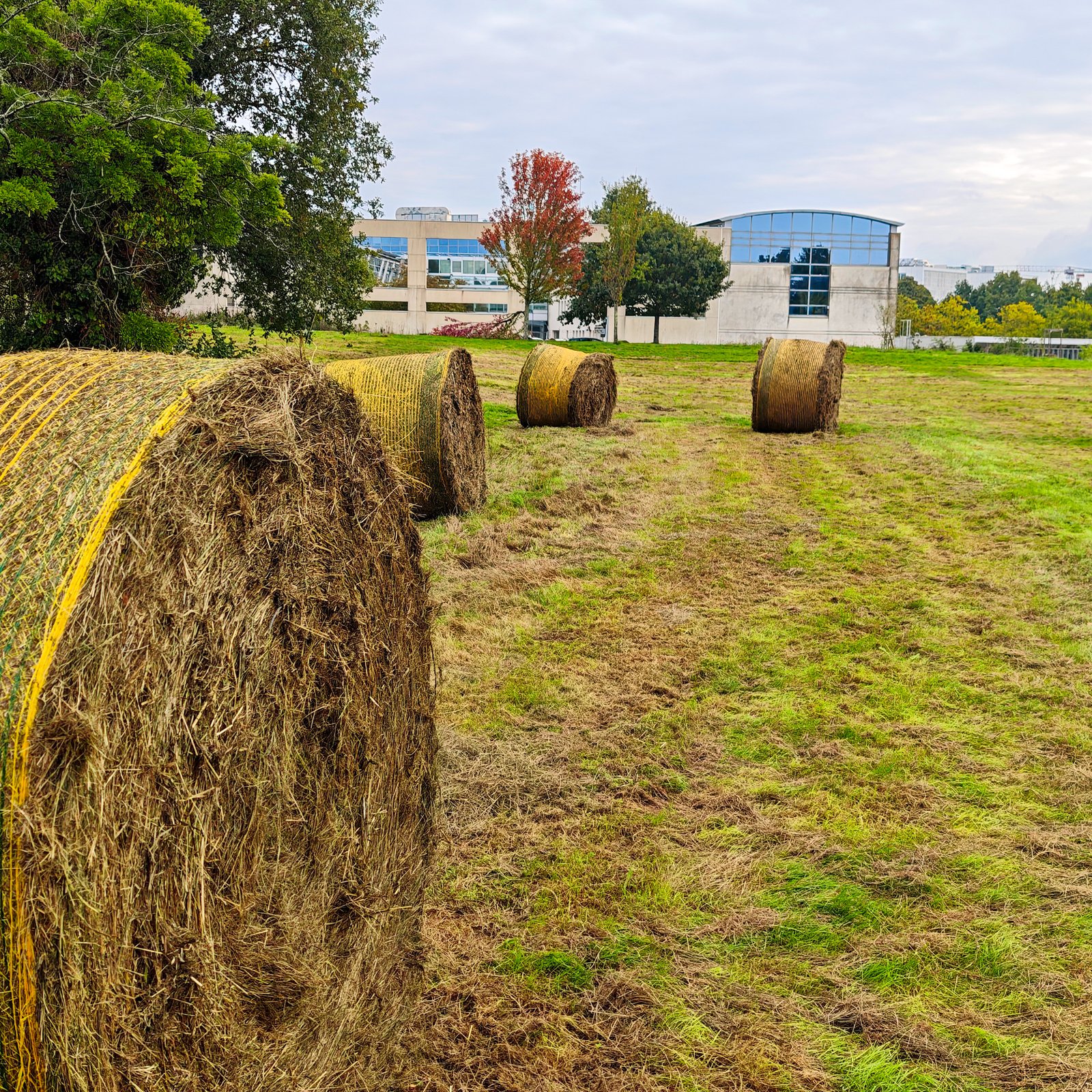 Mise en bottes et export du foin — septembre 2025, Campus Nantes