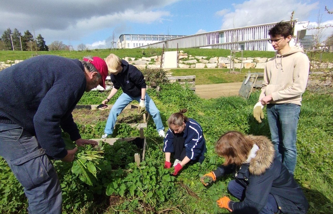 Initiation permaculture potager — 11 mars 2026, Campus Nantes