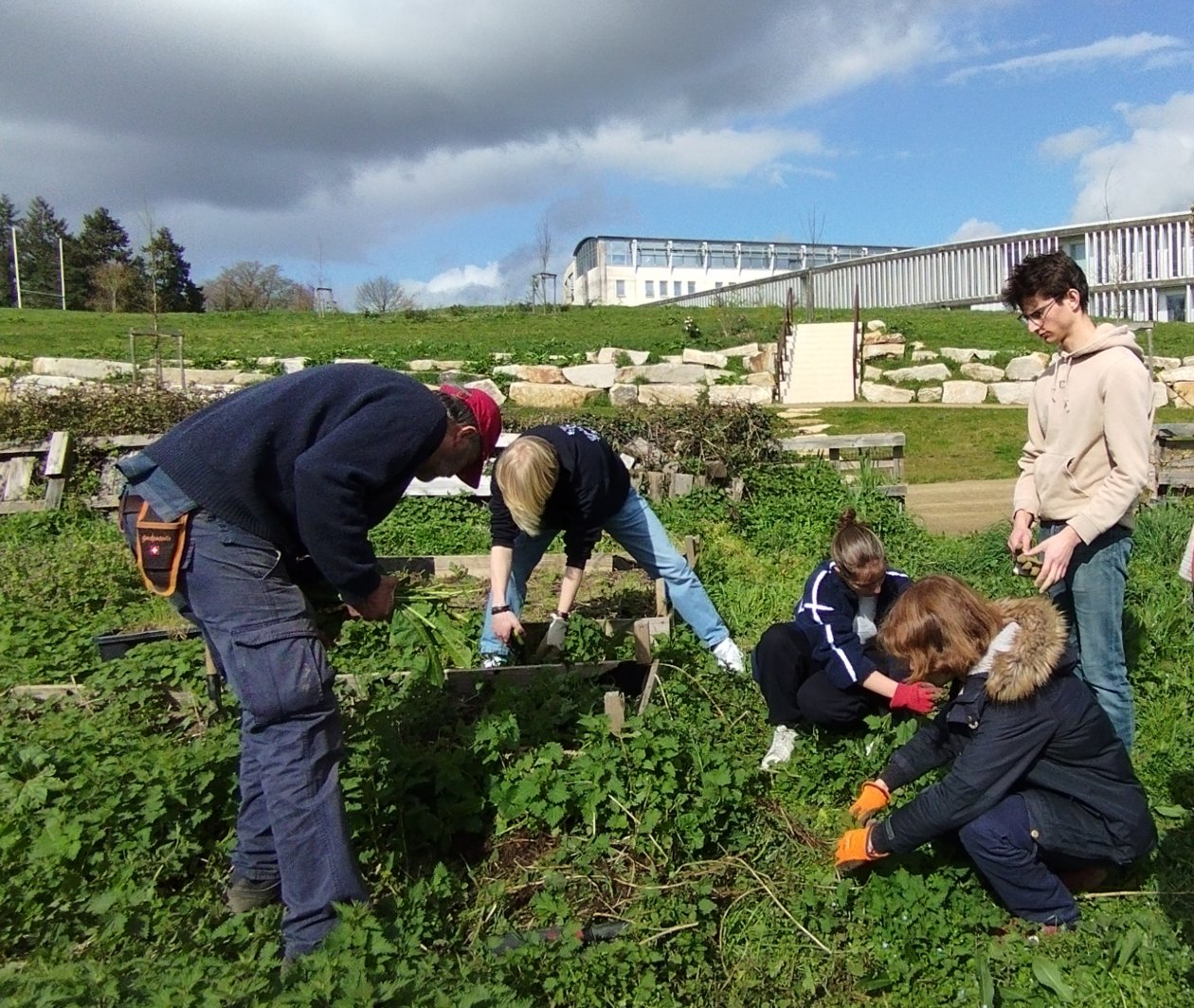 Initiation permaculture potager — 11 mars 2026, Campus Nantes