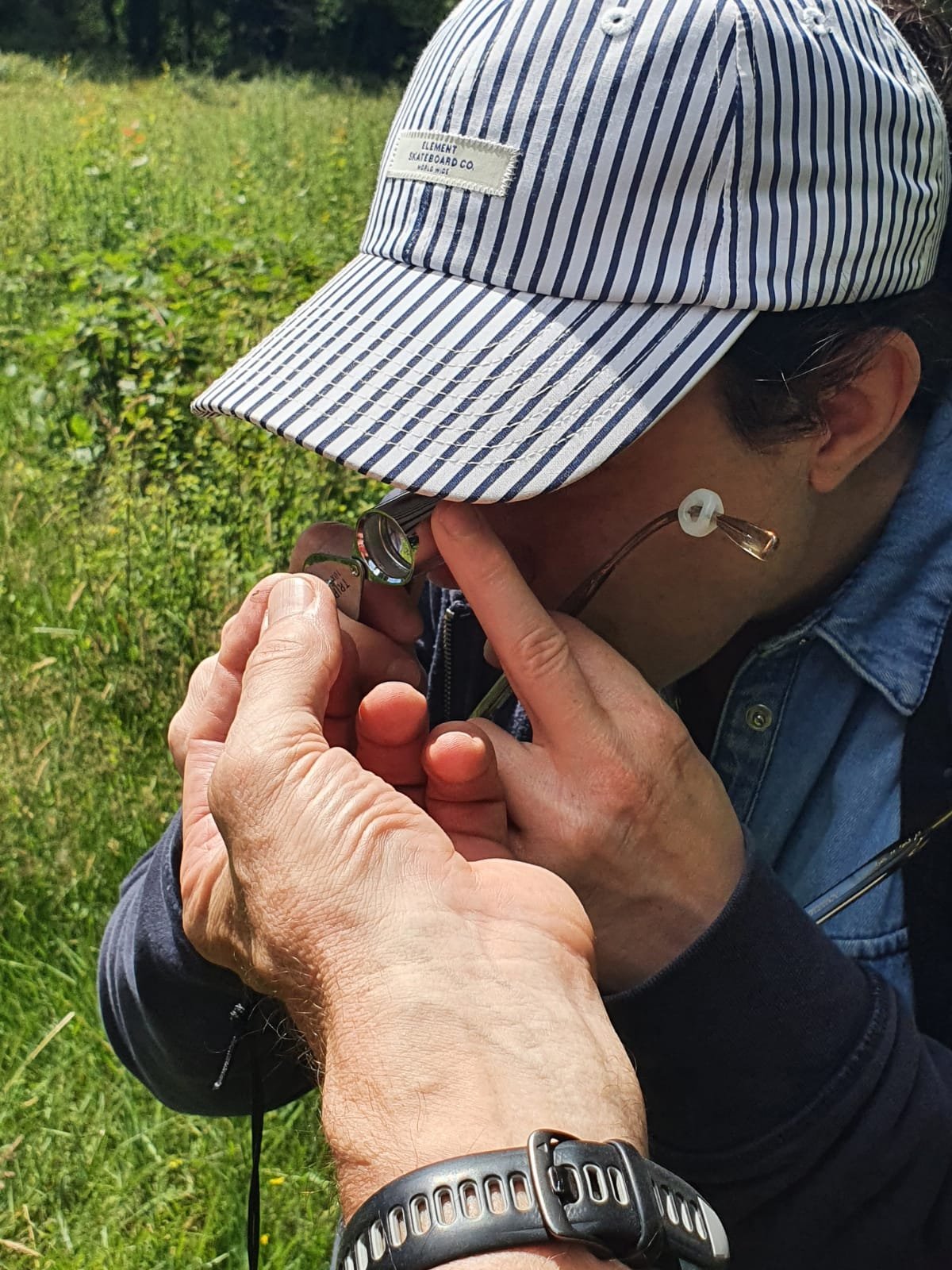Observation d'un spécimen à la loupe de terrain — 10 juin 2026, Champ de Manœuvre