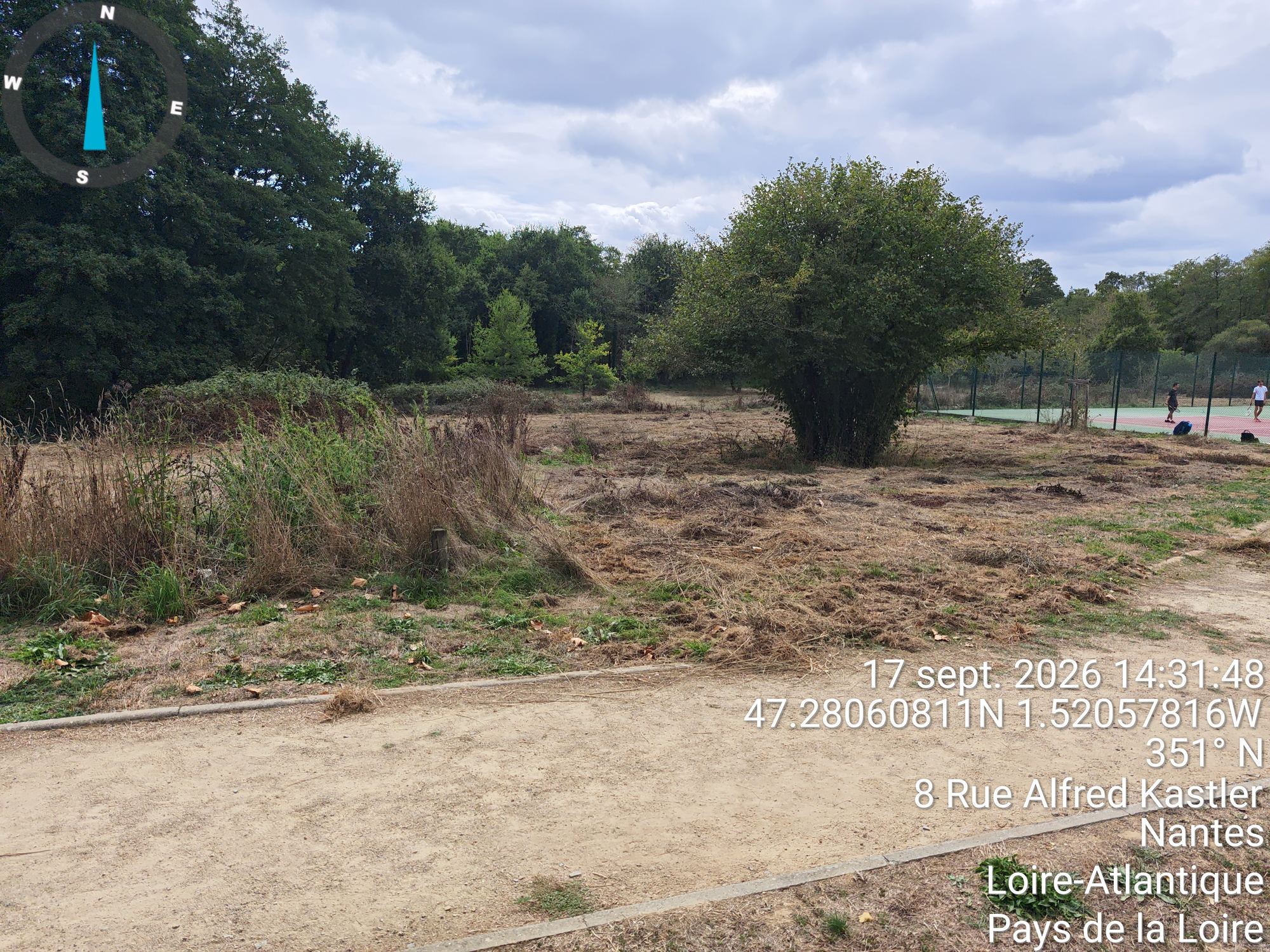 Secteur fauché près des courts de tennis, arbuste conservé — 17 septembre 2026, Campus Nantes