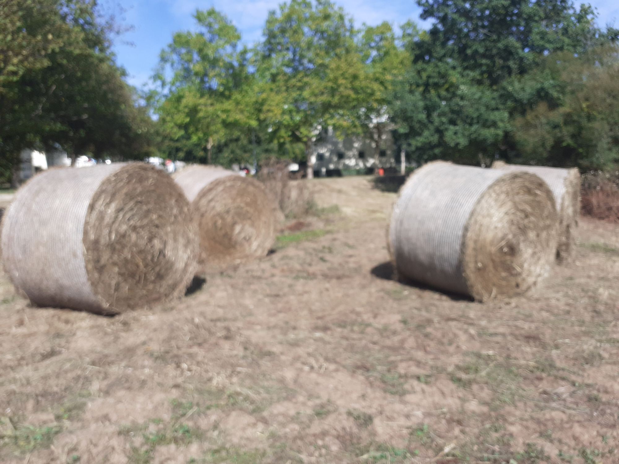 Bottes rondes du produit de fauche — 18 septembre 2026, Campus Nantes