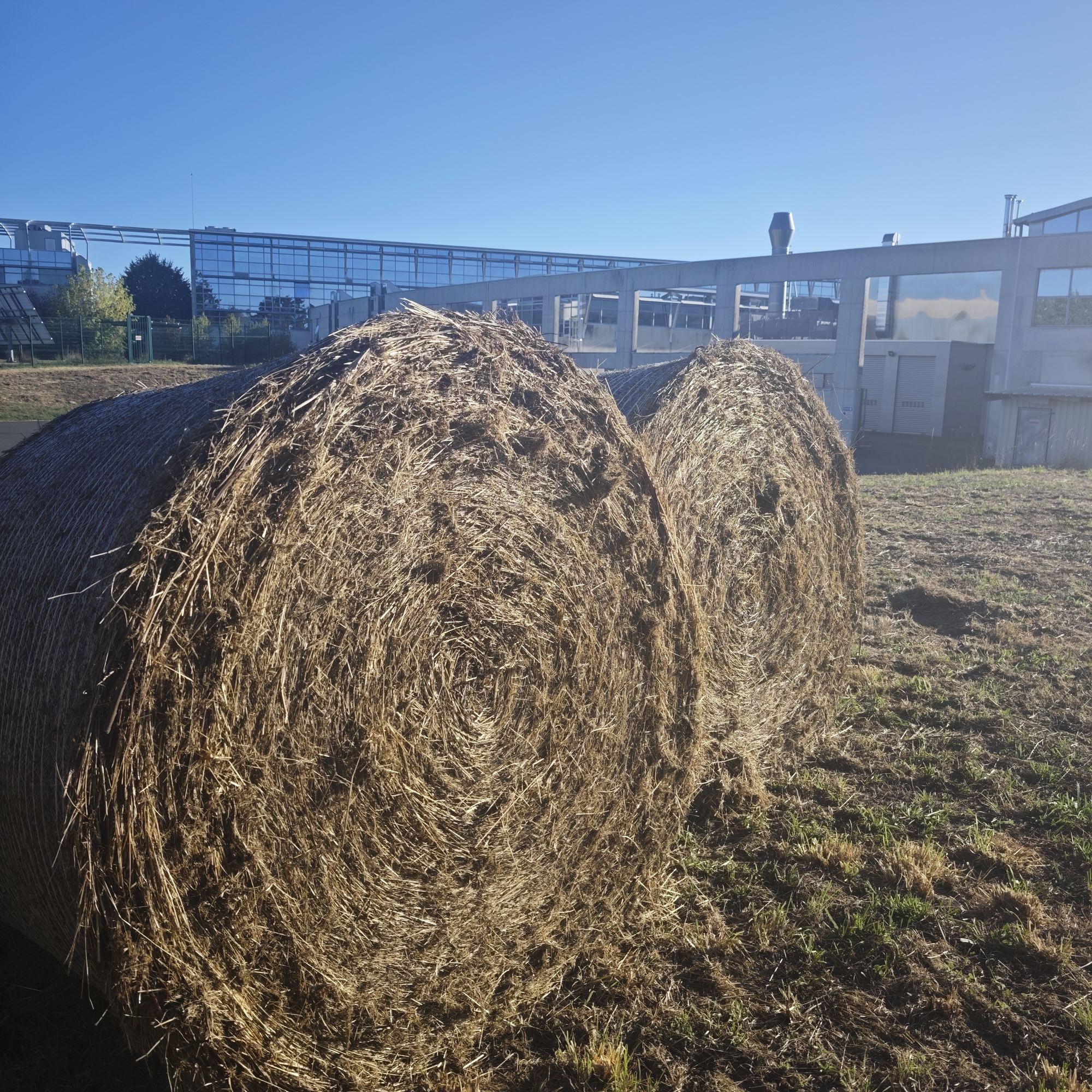 Balles rondes du produit de fauche au pied des bâtiments — 22 septembre 2026, Campus Nantes