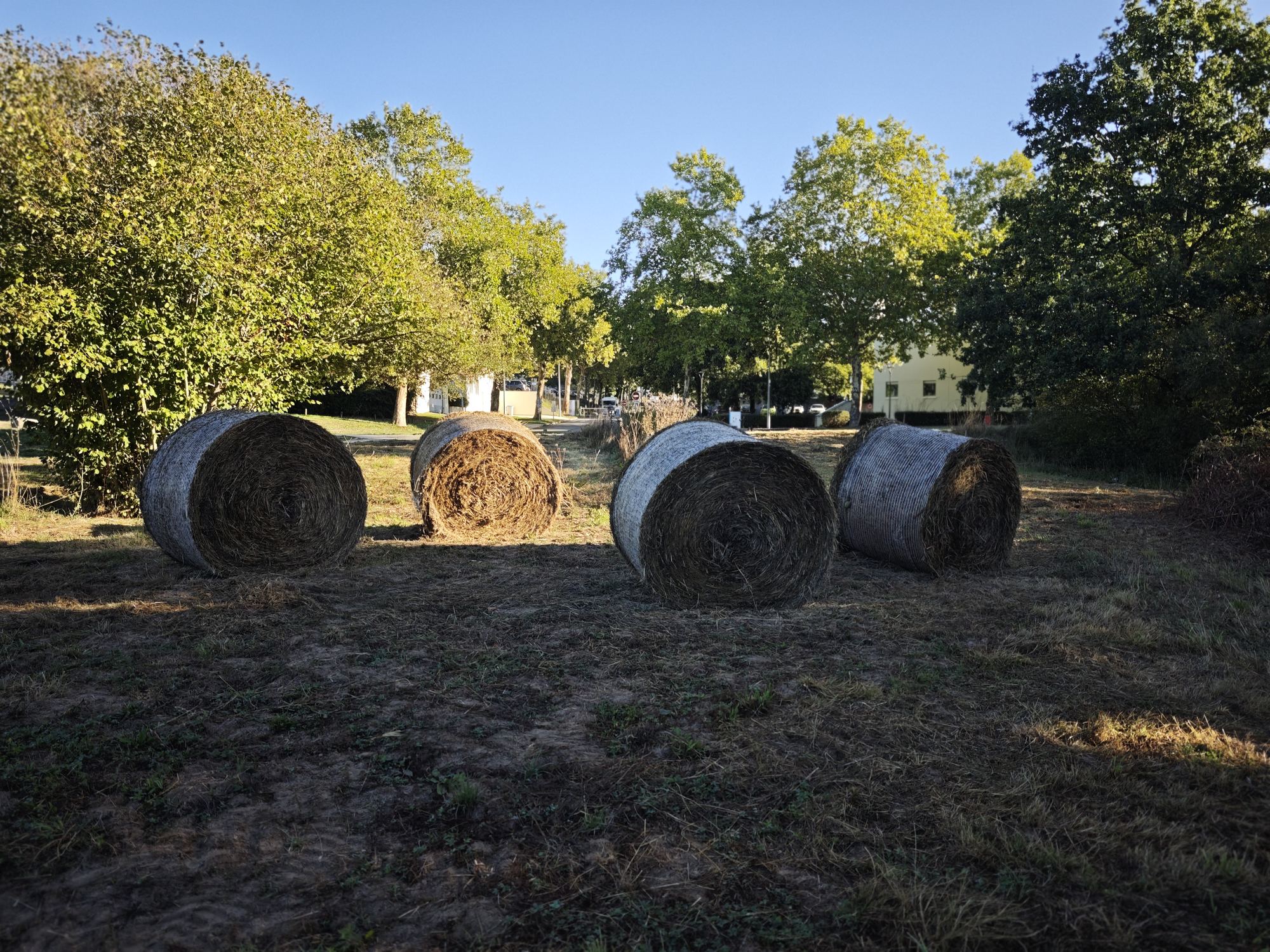 Quatre balles rondes sur une parcelle fauchée — 22 septembre 2026, Campus Nantes