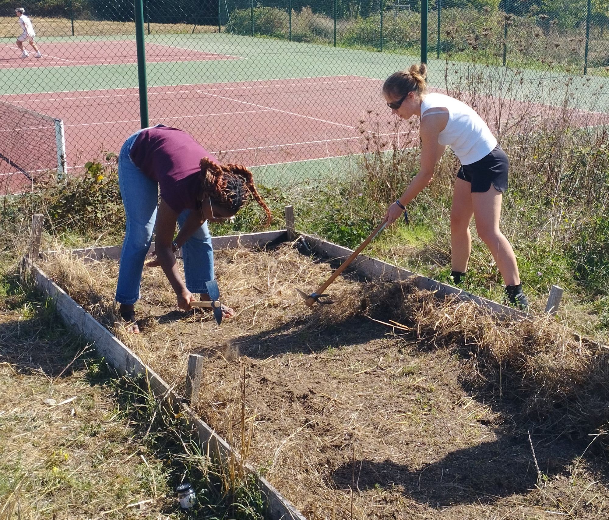 Désherbage et travail du sol à la serfouette au potager du campus — 23 septembre 2026, Campus Nantes